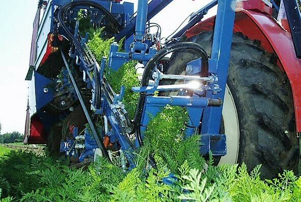 Asa Lift recol hort Portada